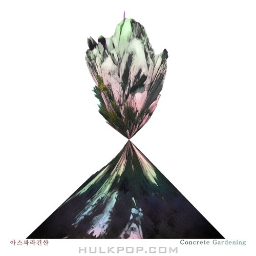 Asparagine Acid – Concrete Gardening