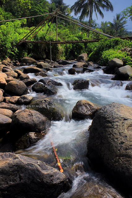 Menyusuri tepi sungai Cireong ke arah hulu Menyusuri tepi sungai Cireong ke arah hulu