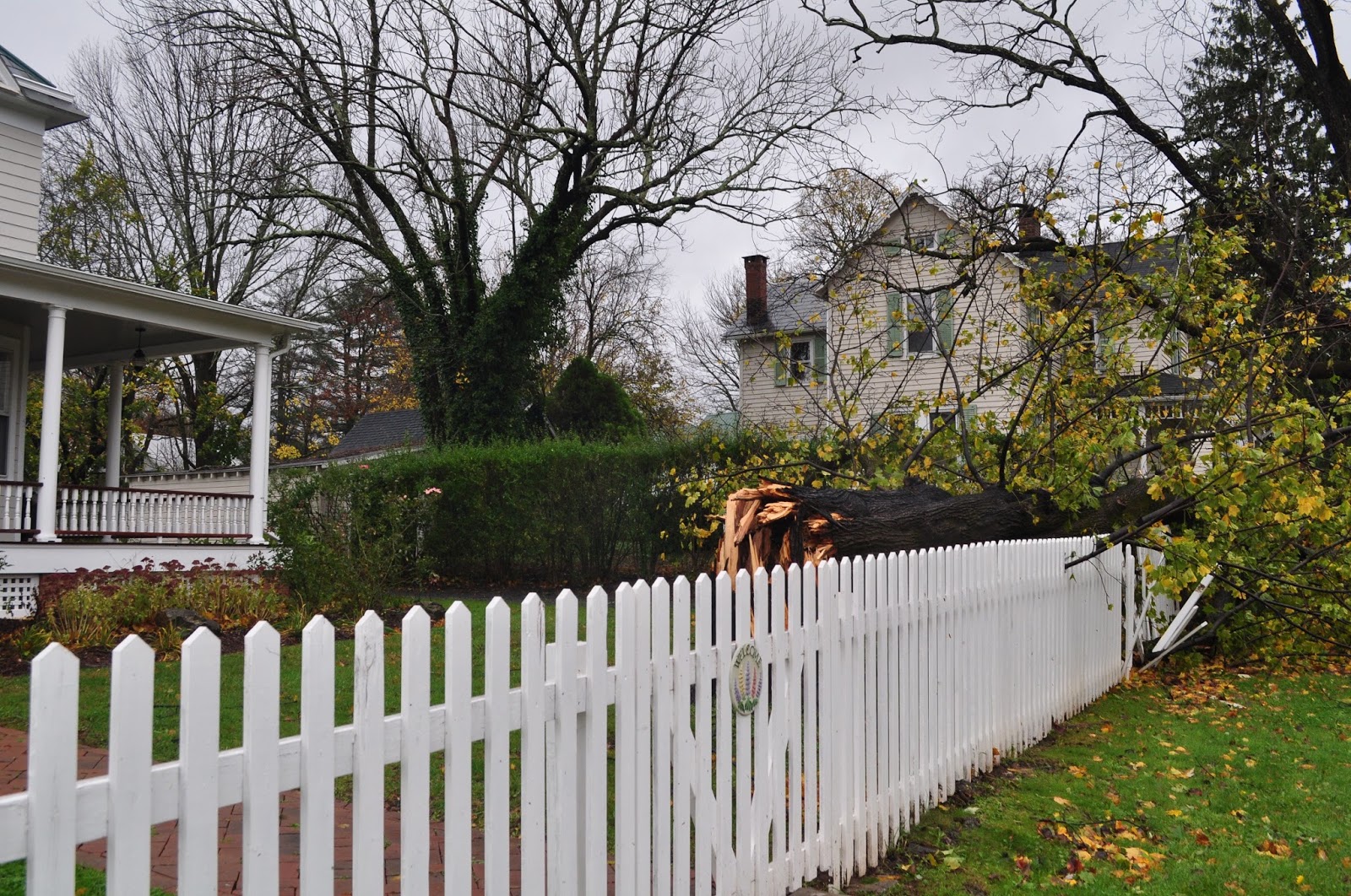 Wit's End Hope Springs Infernal