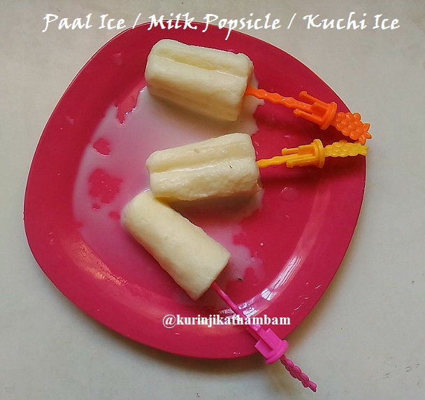 Paal Ice / Milk Ice / Milk Popsicle Kurinji Kathambam