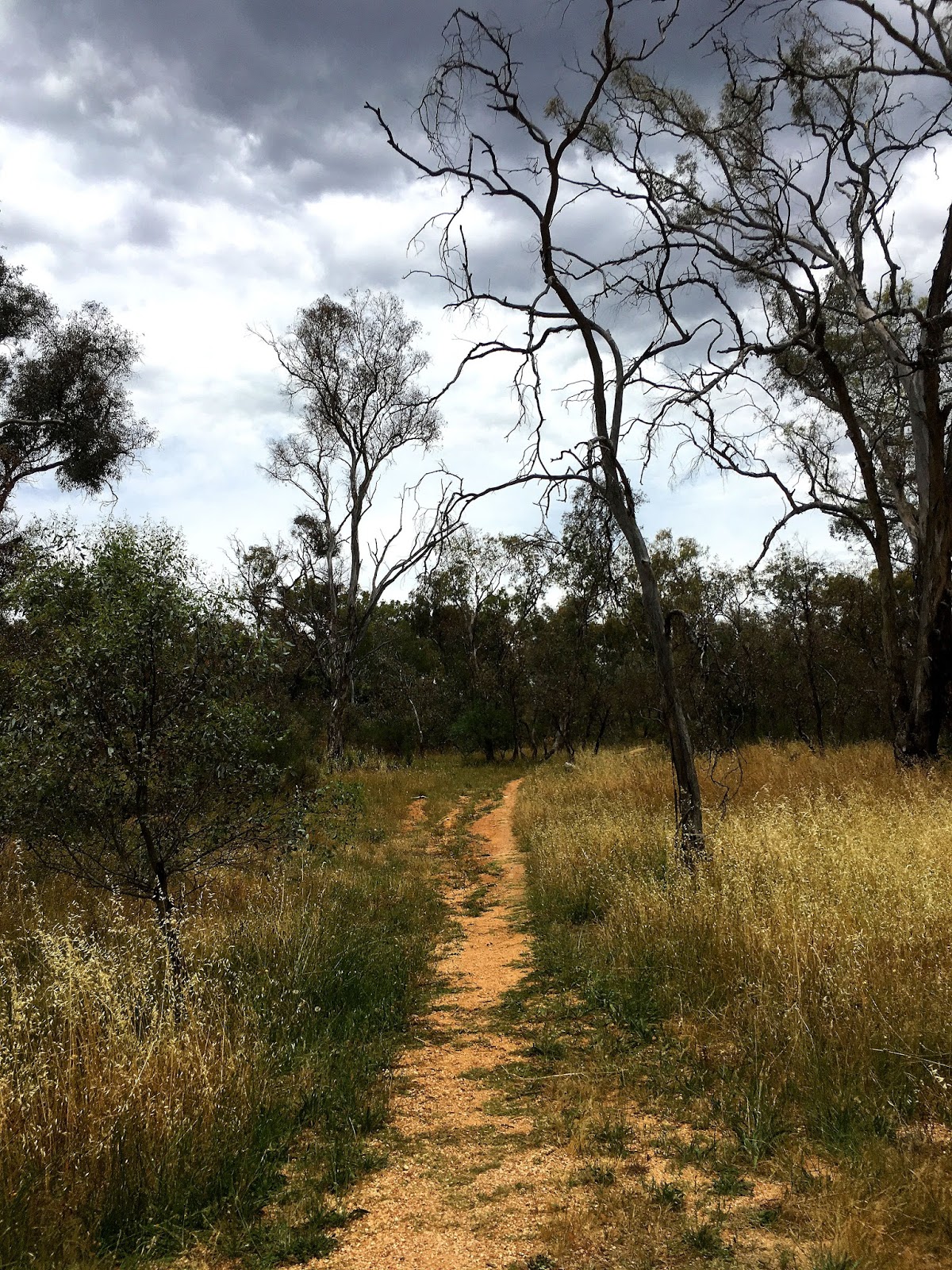 Canberra is not only the capital of Australia, but also surprisingly full of culture and history complimented with good wine and superb hiking.