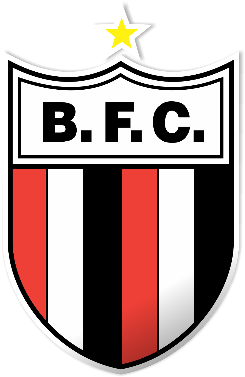 View Brasileirão Série B 2020 Png PNG