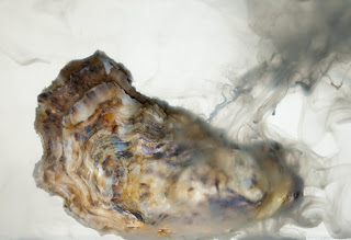 national ocean acid acidification geographic sea oysters into visit ugh seeping acidifying dioxide slowly oceans carbon pump them air reefs