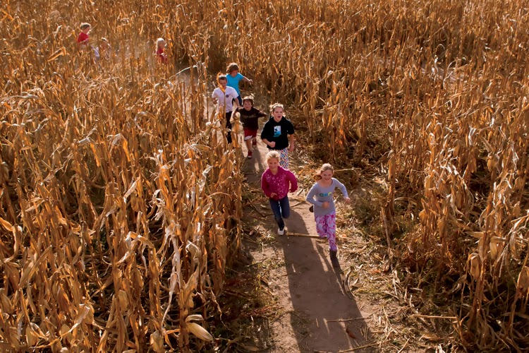 Family Of Farmers A maize ing Family Fun