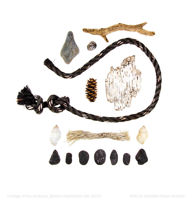 beach stone, driftwood, rope, birch bark, whelk shells, and periwinkle
