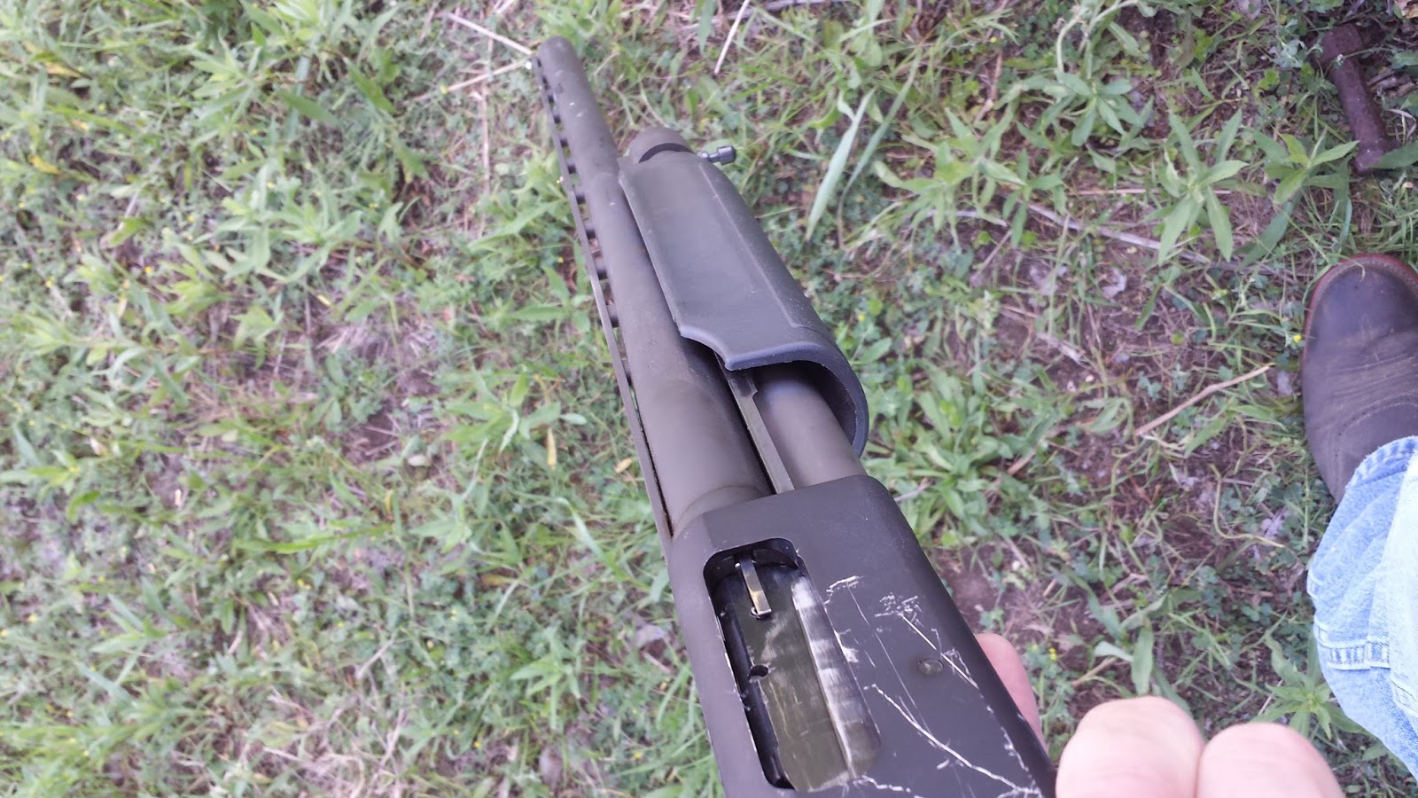 Lone Star Parson: Snake Hunt!