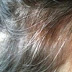 I THOUGHT IT WAS ANOTHER INTERNET LIE UNTIL I TRIED IT WITH MY MOM. A GREAT AND CHEAP NATURAL HAIR DYE THAT WILL COVER YOUR GRAY HAIR!