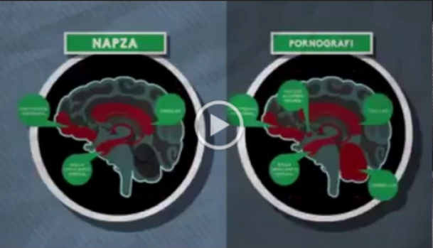 Download Video Pembelajaran Sususan Otak