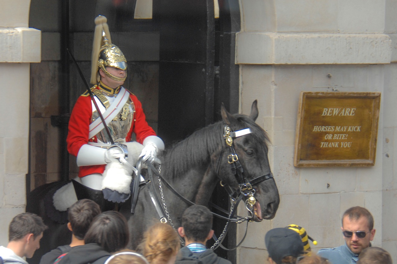 Bailey's Buddy The Royal Guards Photos by Bob Kelly from his trip to England