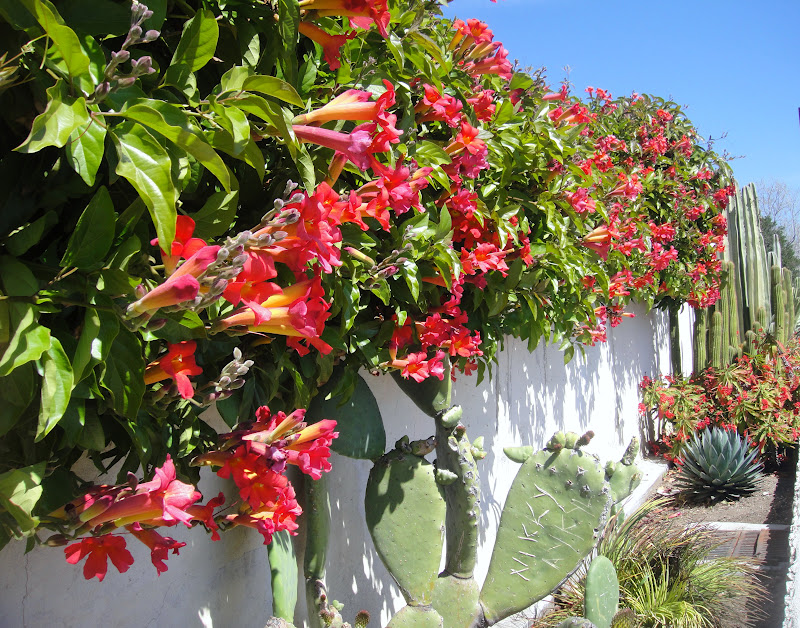GardenEnvy San Juan Capistrano Mission Garden Is Simply A California Beauty