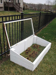 garden build greenhouse seed diy starter mini starting box cold frame building homemade seedlings greenhouses plant seedling frames right prepare