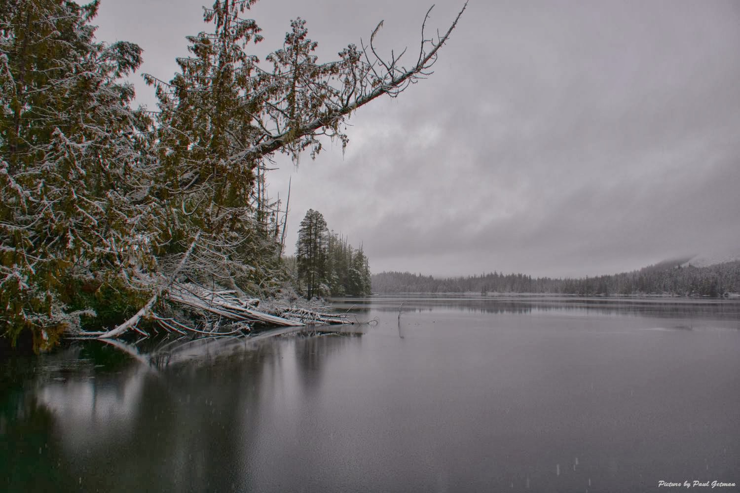 Shutterbugs Capturing the World Around Us A light dusting of snow...