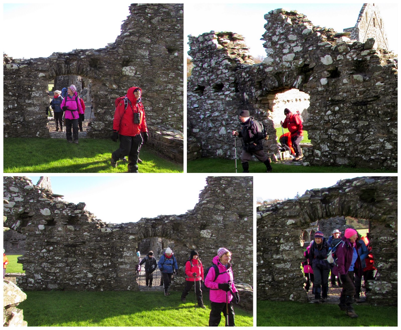 The Glebe Blog Wigtownshire RamblersSt Helena IslandGlenluce Abbey January 2015
