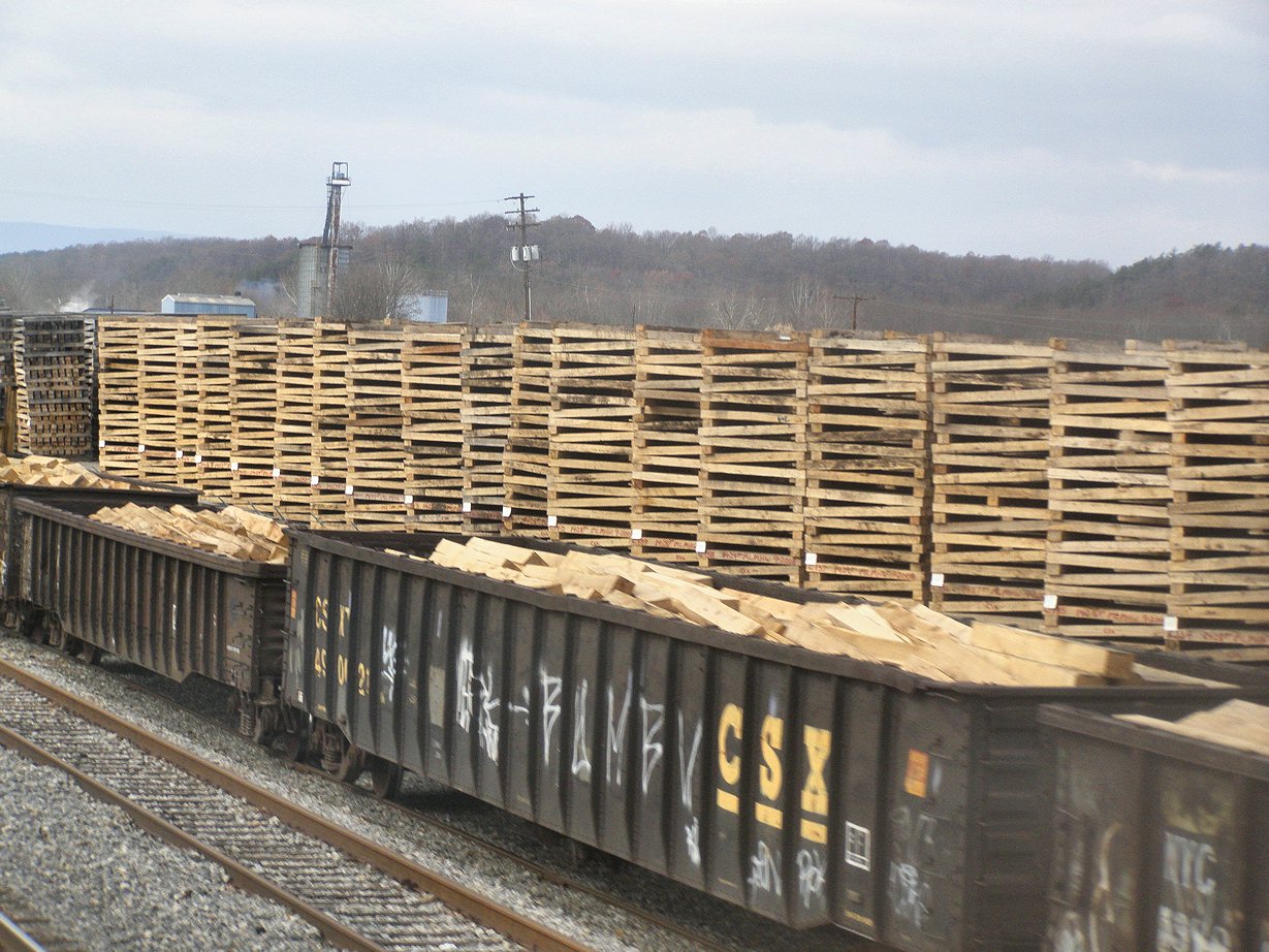 Jersey Mike's Rail Adventures 081110 PHOTOS A Capitol Limited November