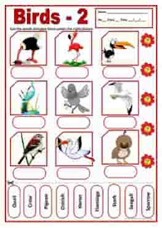 birds-games-icebreakers-wordsearches_2 birds-2-activities-wordsearch-ESL-EFL-downloadable-printable-worksheets-practice-exercises-and-activities-to-teach-about-birds-picture-dictionaries
