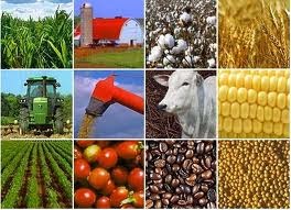 Commodities Commodities Instruments Mocaz