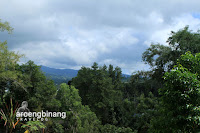 makam kyai mojo minahasa