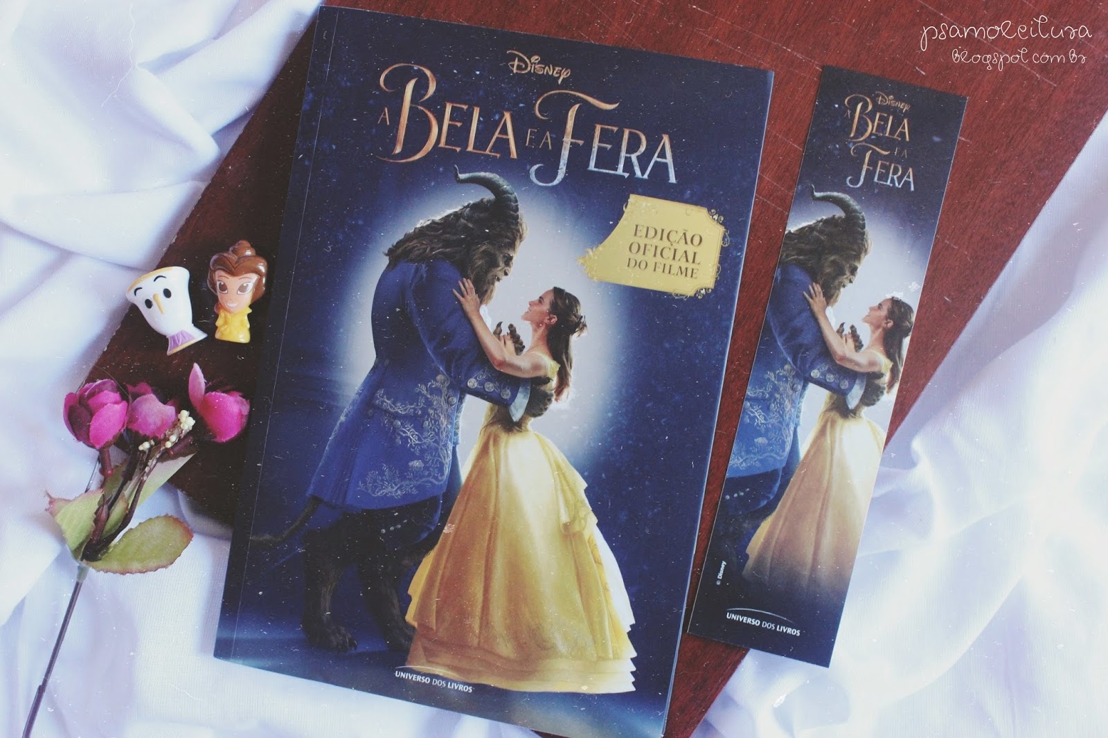 Resumo Do Livro A Bela Ea Fera EDUCA