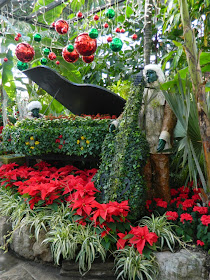 Piano bass players Allan Gardens Conservatory Christmas Flower Show 2014 by garden muses-not another Toronto gardening blog