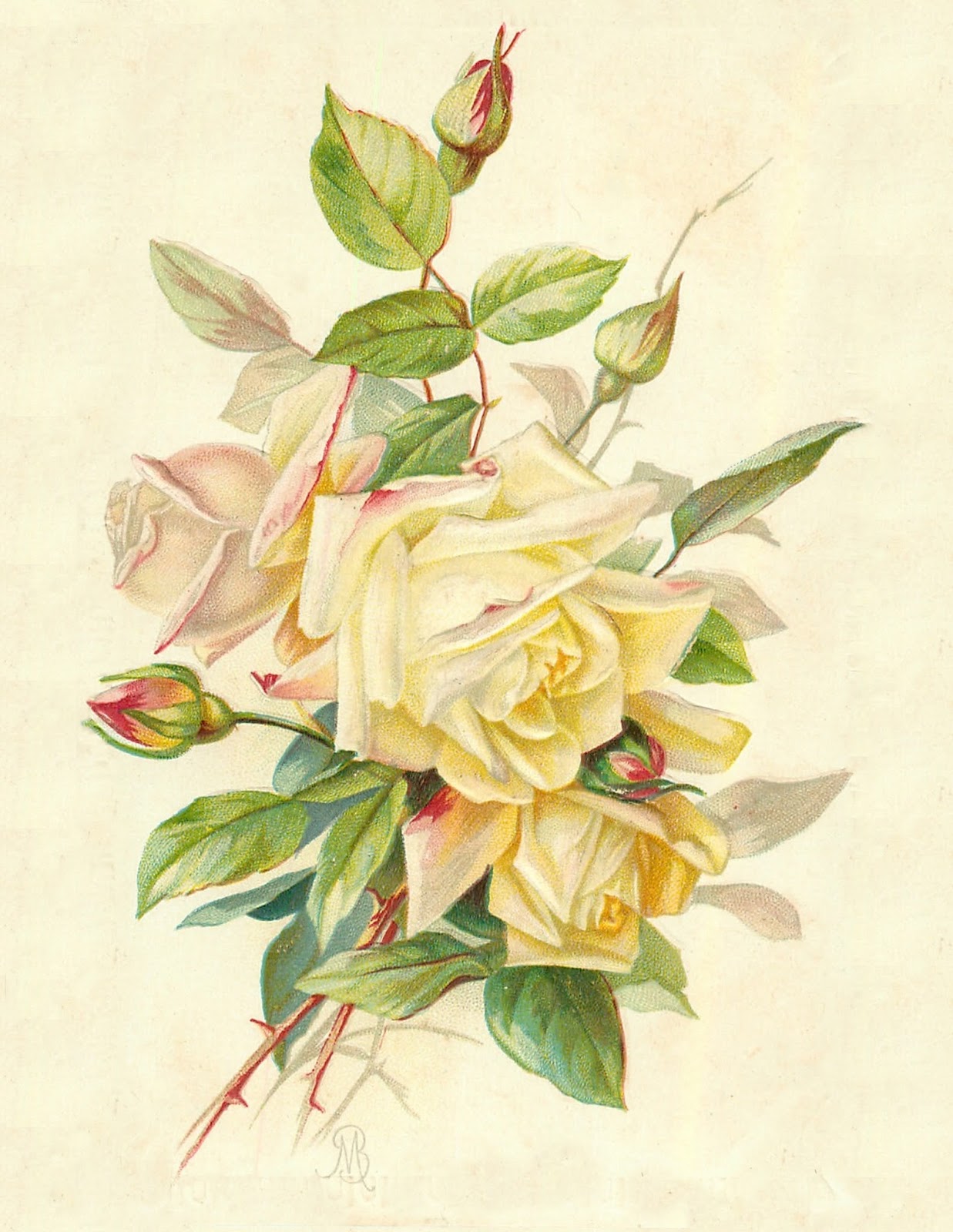 Винтажные розы. Винтажные картинки. Салфетки для декупажа розы. Цветы sonie ames. Винтажные розы.