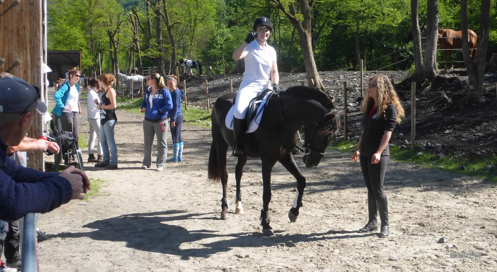 La Gazette de Babo La jument de Diomède...