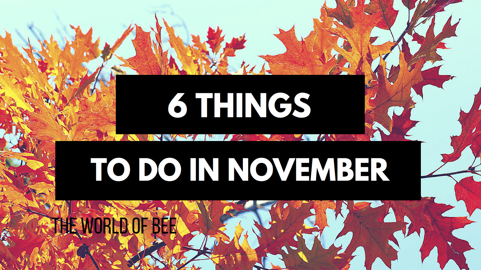 6 Things To Do In November 6-things-to-do-in-november