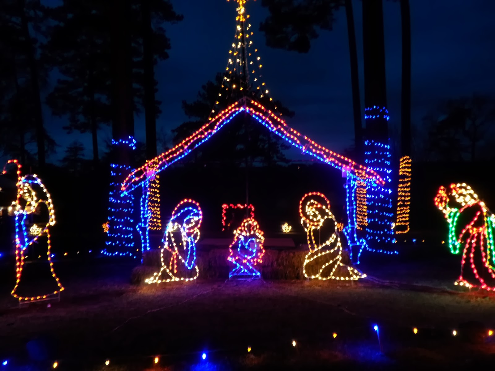 Thoughts of a Trail Bug Christmas at Noccalula Falls!