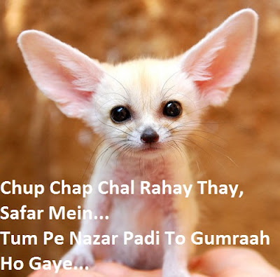 Unique Whatsapp Funny Status Messages Quotes For Girl Boy In Hindi Unique Whatsapp Funny Status Messages Quotes For Girl Boy In Hindi