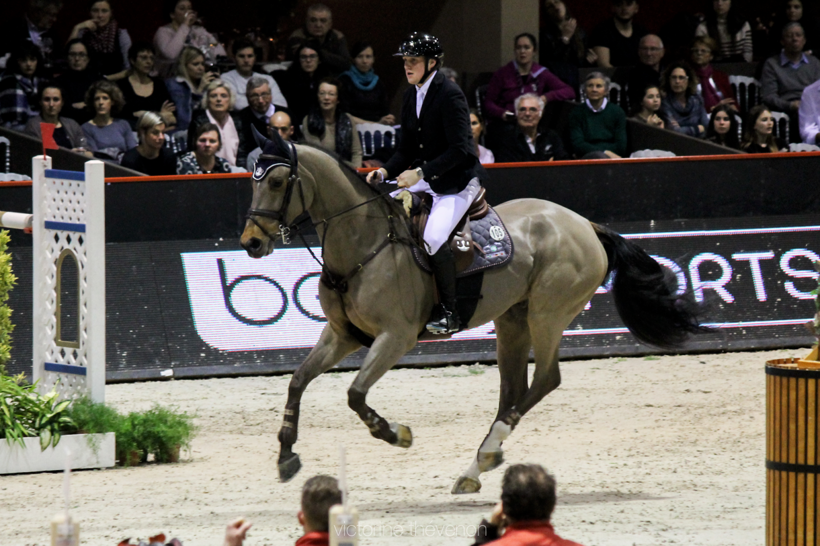 jumping bordeaux jumping bordeaux