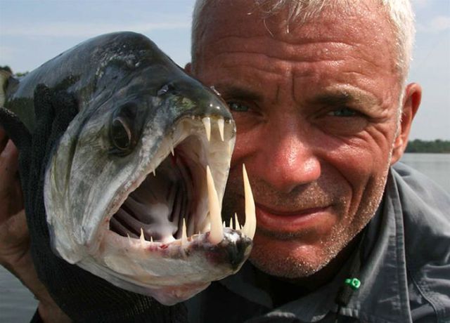Mentes Imundas e Belas: Monstros dos rios por Jeremy Wade