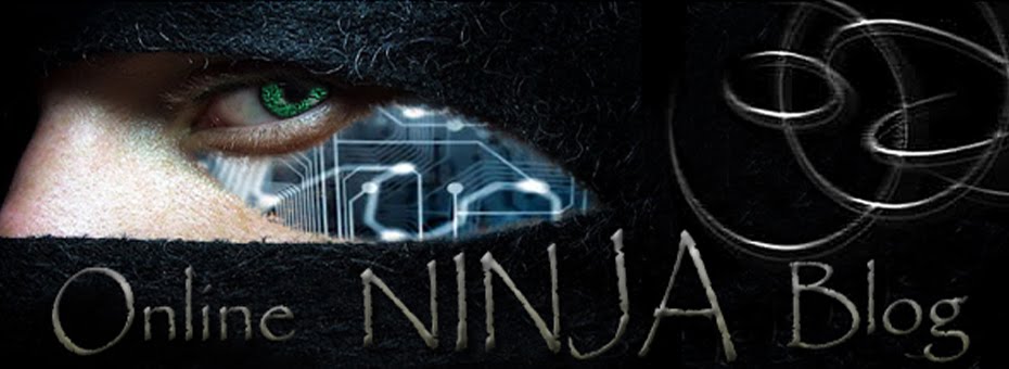 Online Ninja Blog