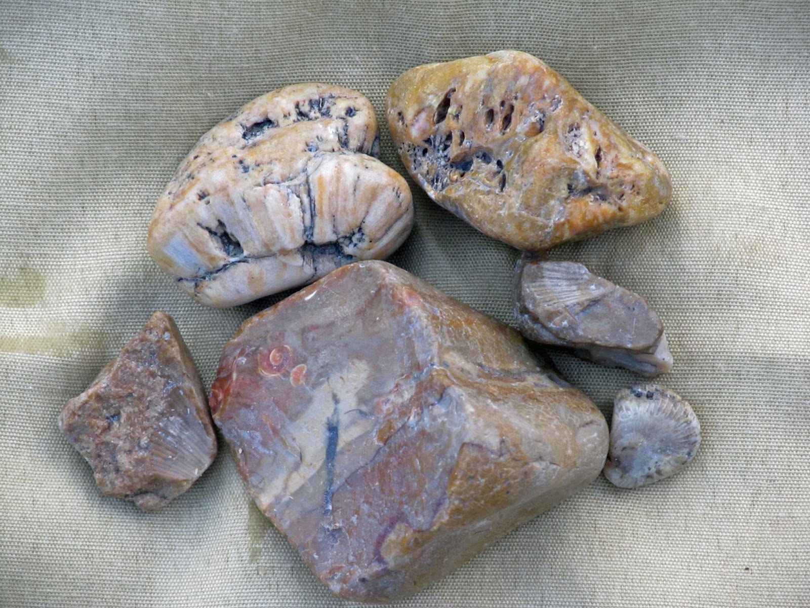 ADVENTURES WITH ROCKS (TM) Badlands, Buttes, and Banded Agates