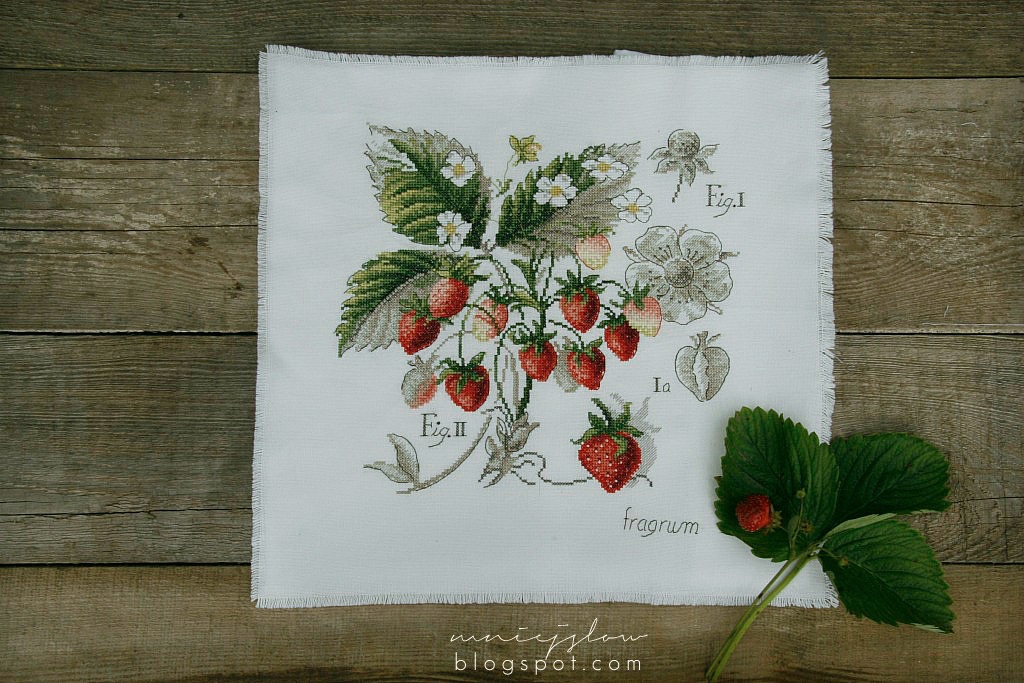 Étude aux fraises - Véronique Enginger
