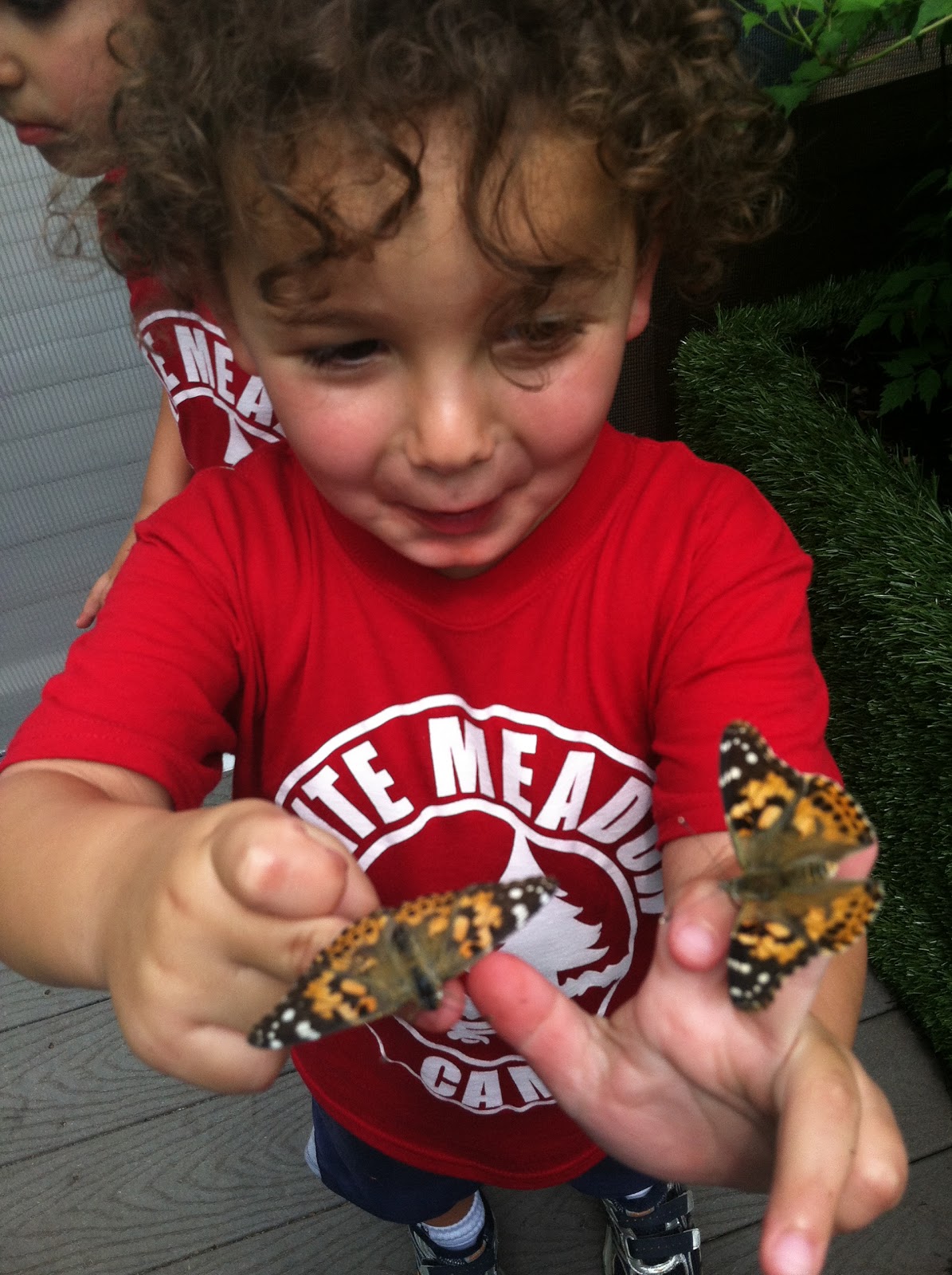 The Kritz Family Camp field trip to Turtle Back Zoo