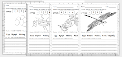 I LOVE TEACHING IDEAS