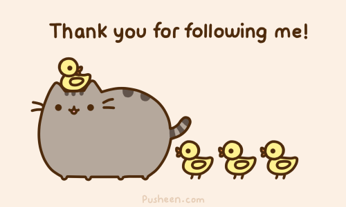 Terima Kasih Follower