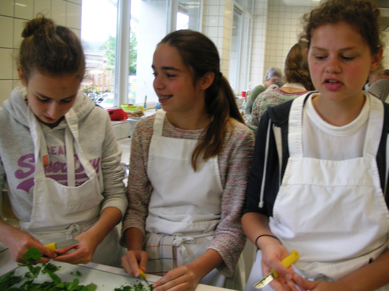 Sint lutgart beernem: juni 2016