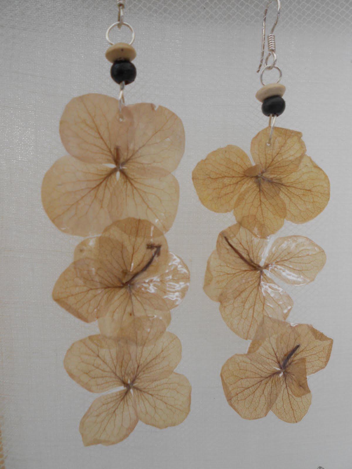 Hortense de Biarritz * HdeB Hortense de Biarritz sur les marché de la