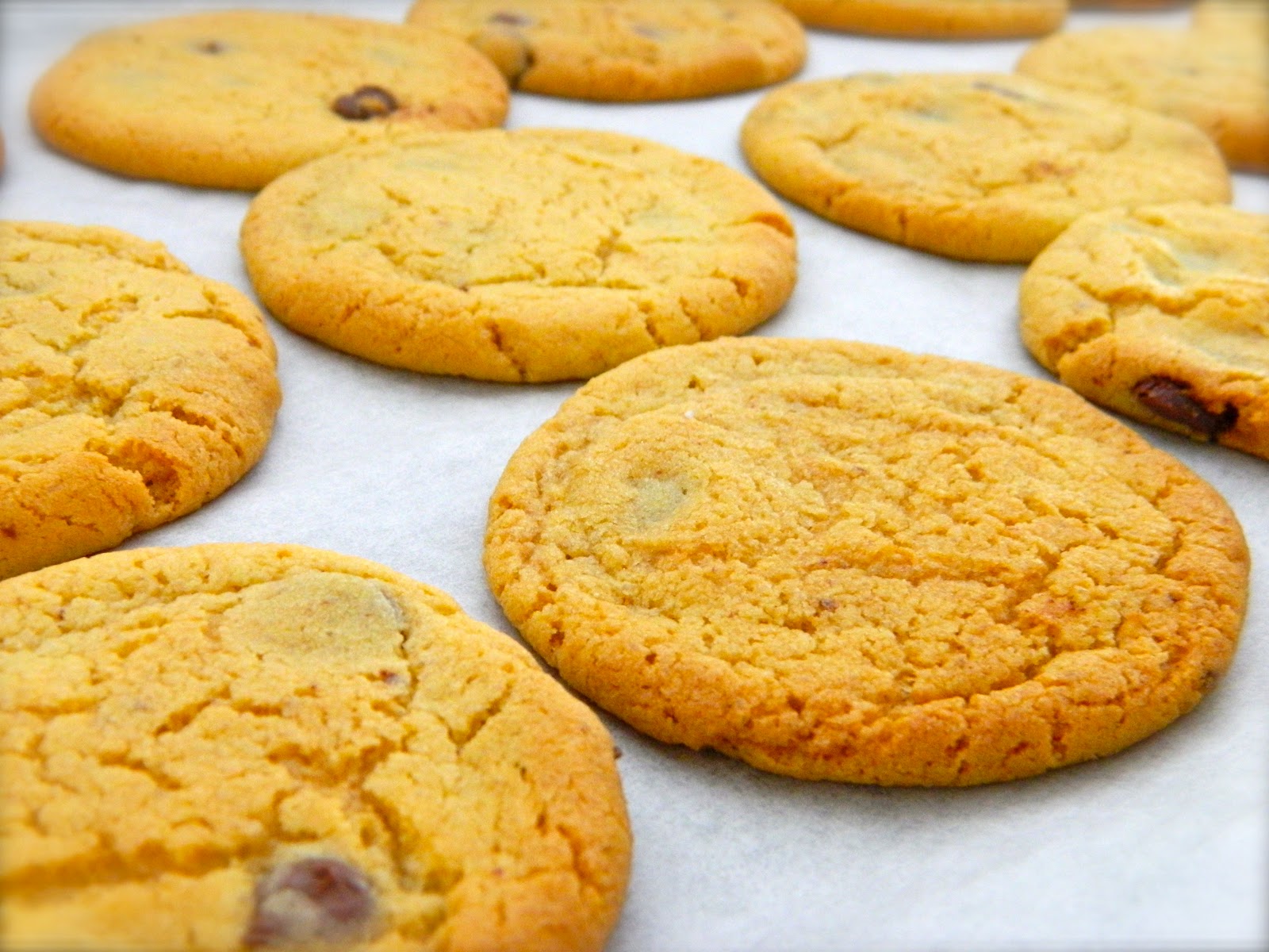 Dashes of Love The Ultimate Chewy Choc Chip Biscuit