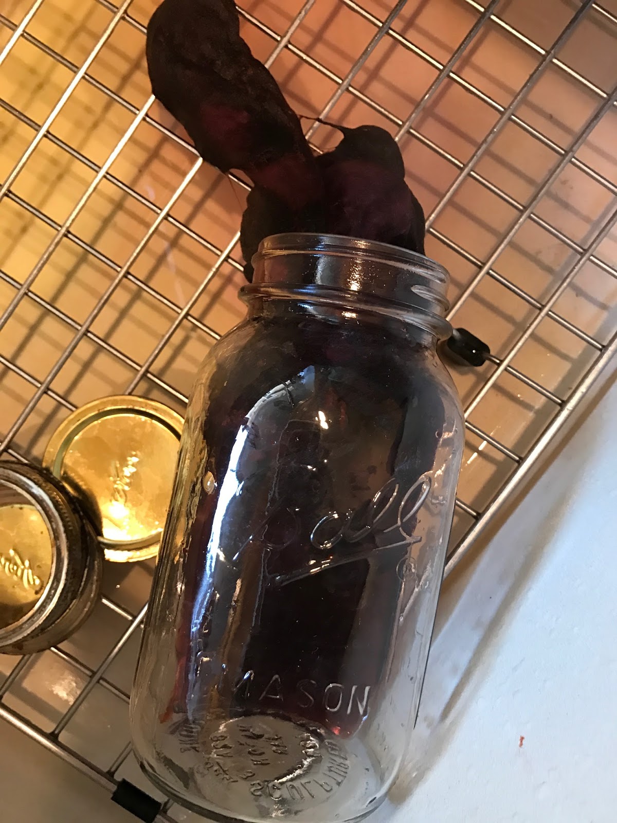 Studio 907 How to dye wool roving and silk using acid dyes