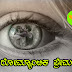 ಕನ್ನಡ ಪ್ರೇಮಕಥೆಗಳು - Kannada Love Stories- Love stories in Kannada