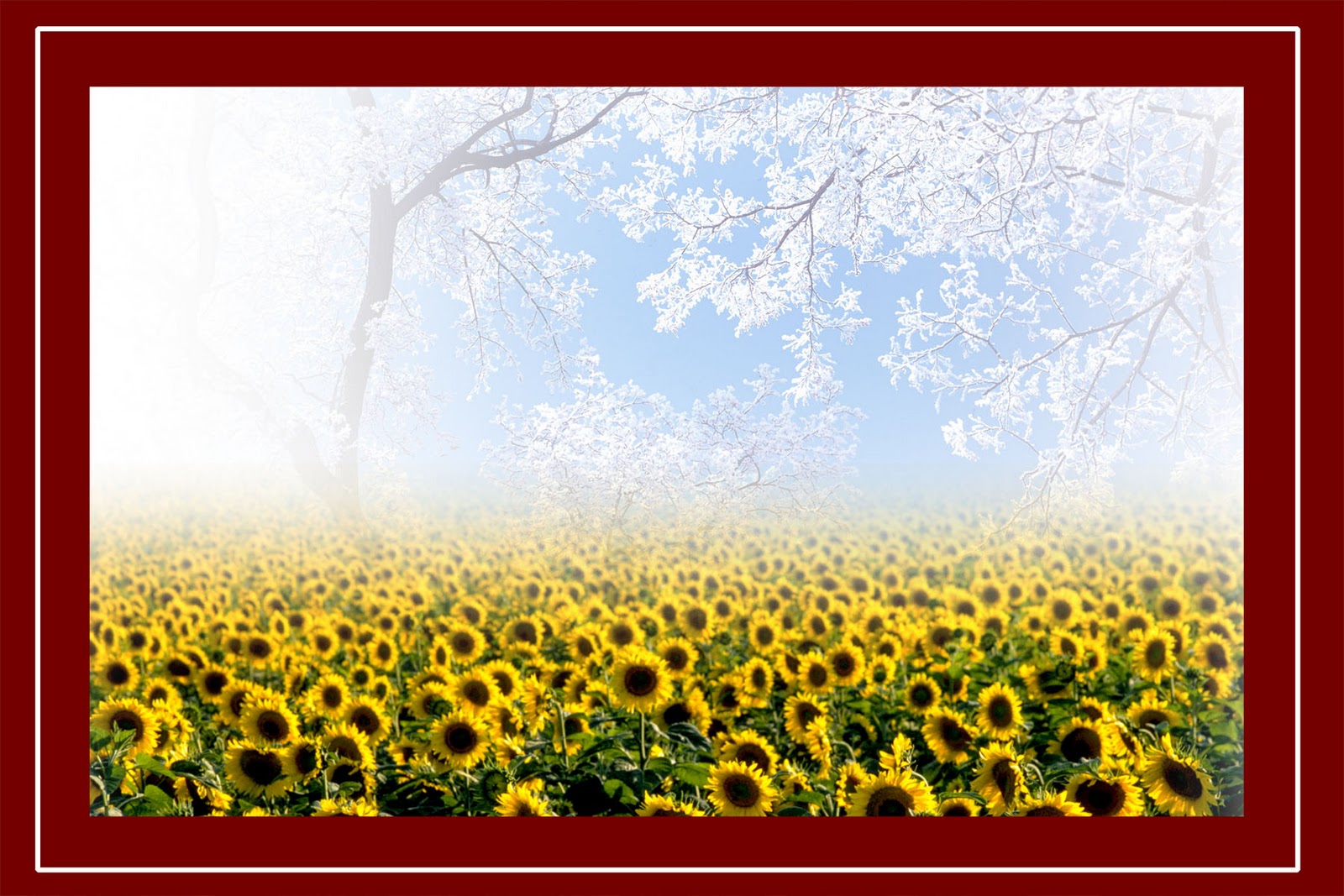 Digital Background HD Wallpaper 3 | HD Wallpapers eZone