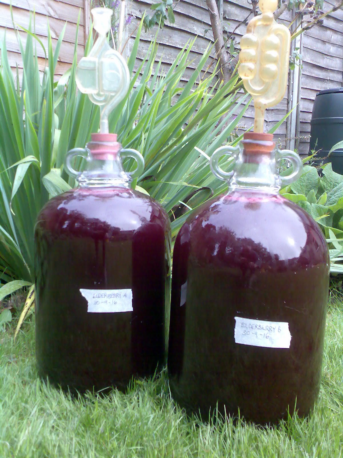 Ben's Adventures in Wine Making Elderberry Wine 2016 The Making Of...