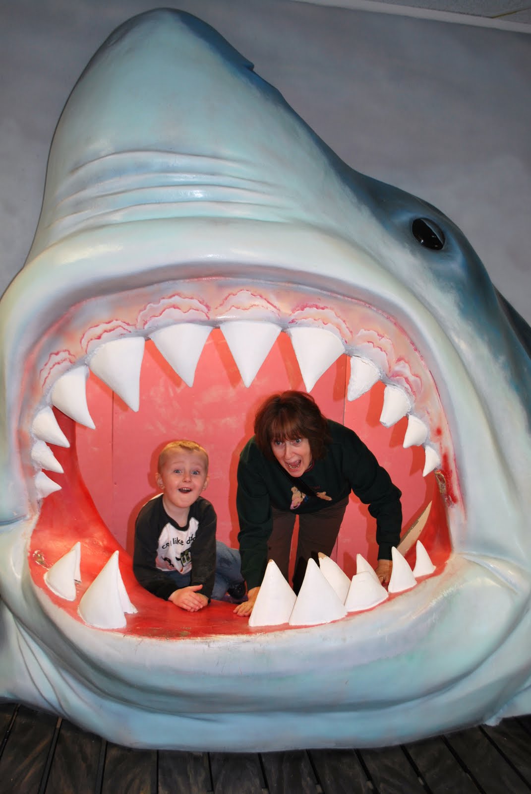 Baker Family Blog Crescent City Aquarium, Second Visit