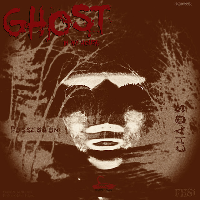 https://firehastemusic.bandcamp.com/track/ghost-in-my-house