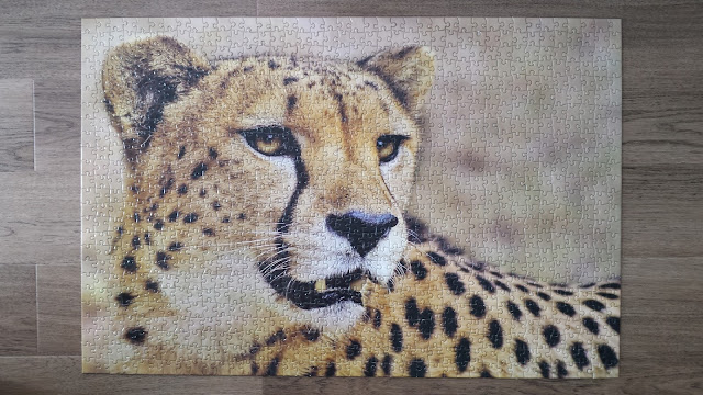 1000 piece puzzle African cheetah 1000 pieces puzzle