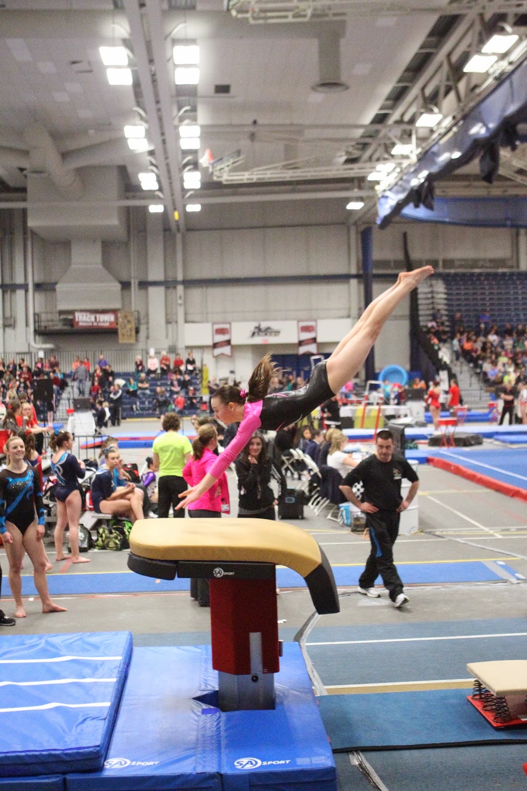 The Physics of the Gymnastics Vault Newton's Laws of Motion Explained