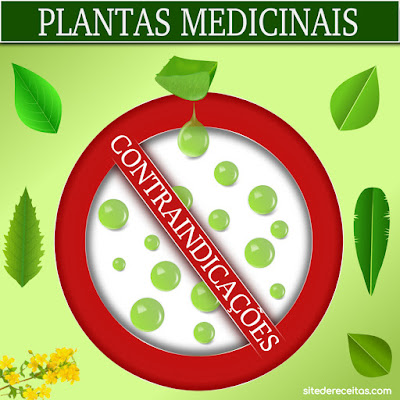 Plantas Medicinais: Contraindicações