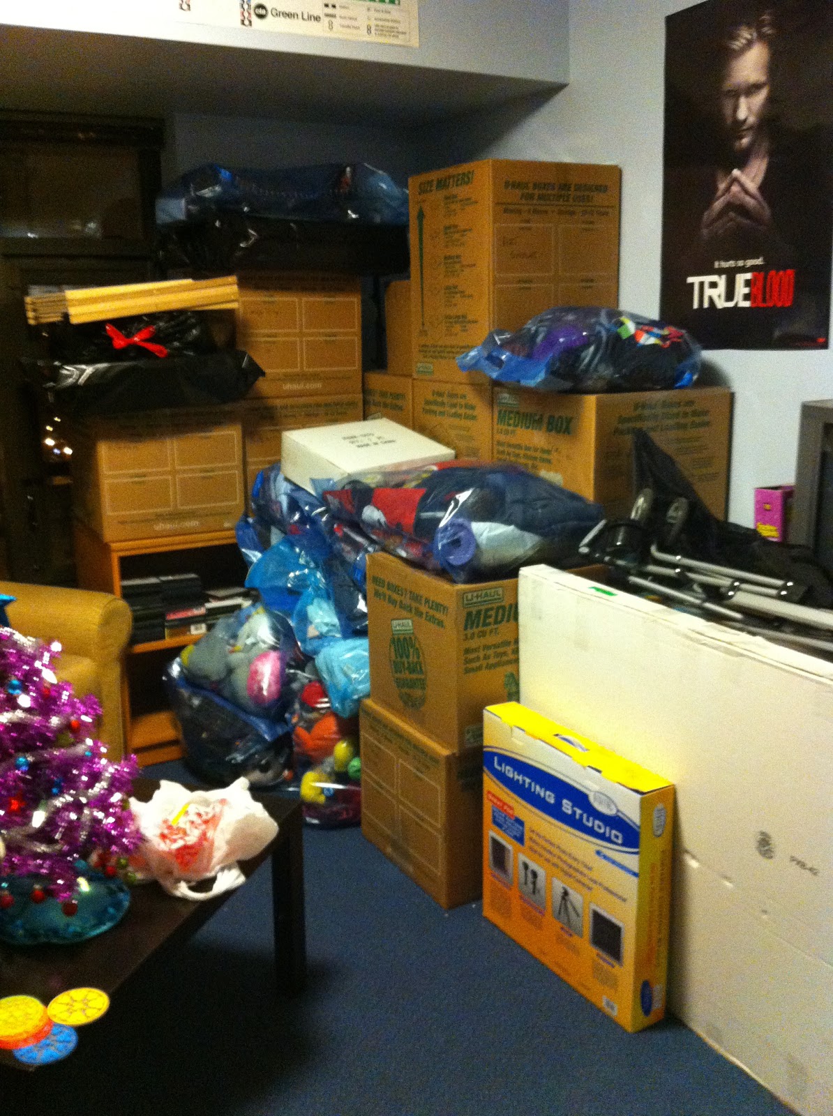 Emily Uses the Internet!: I have too many items...