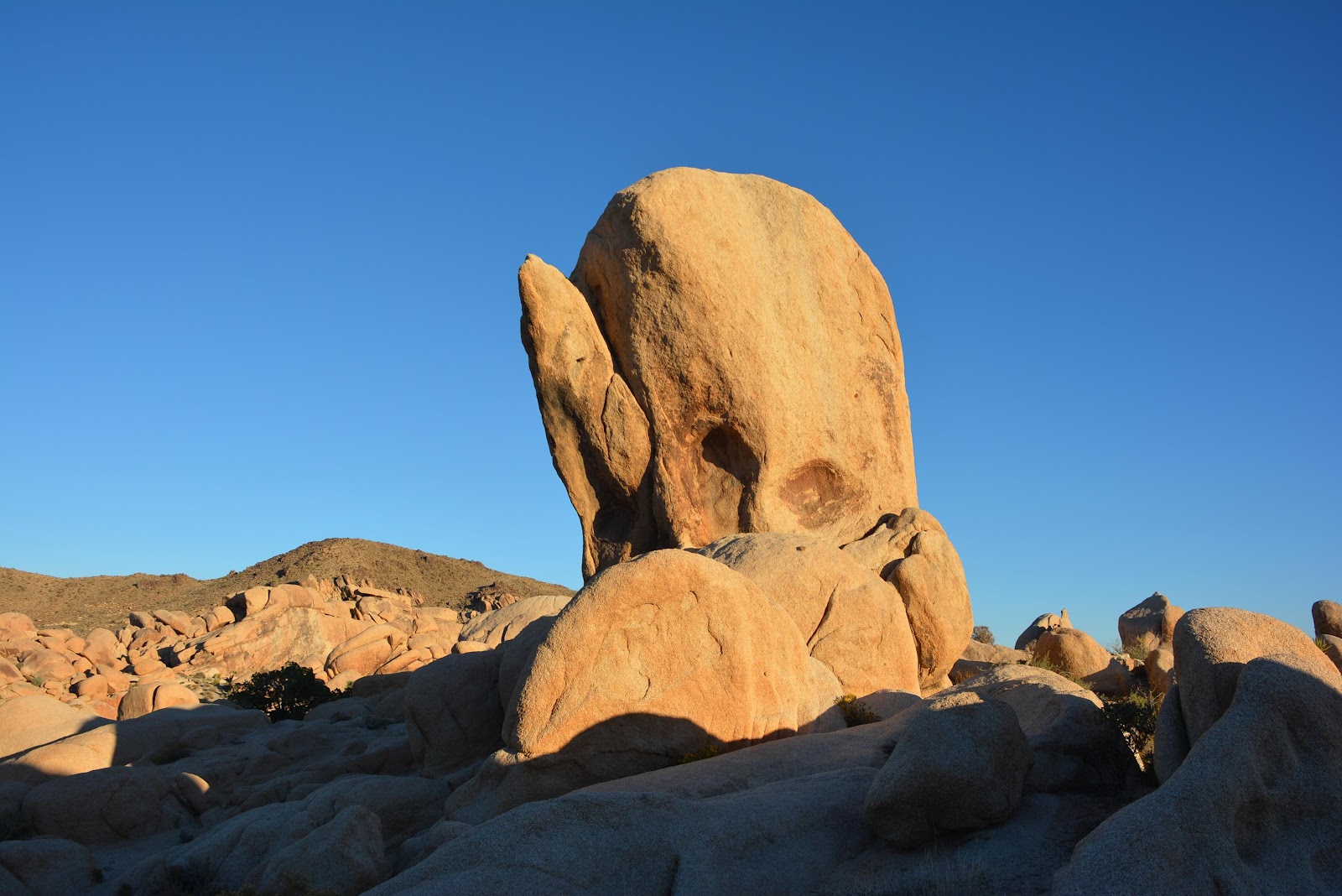Patrick Tillett Arch Rock Joshua Tree National Park